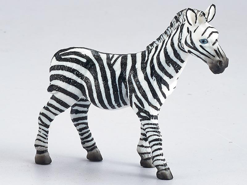 Zebra Static Model