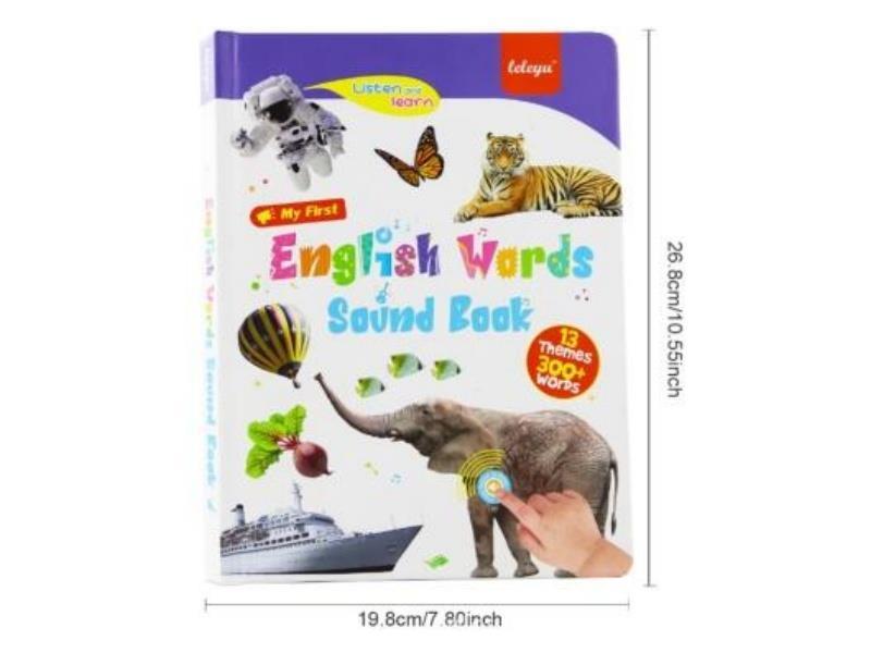 13-In-1 English Audio Book