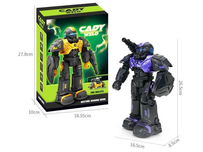 Remote Control Robot