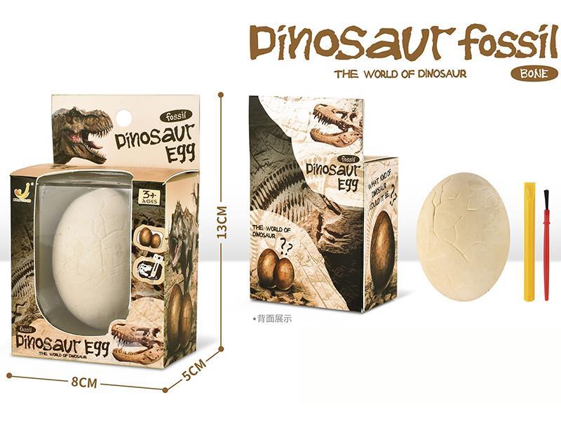 Archaeological Excavations Dinosaur Egg Fossil