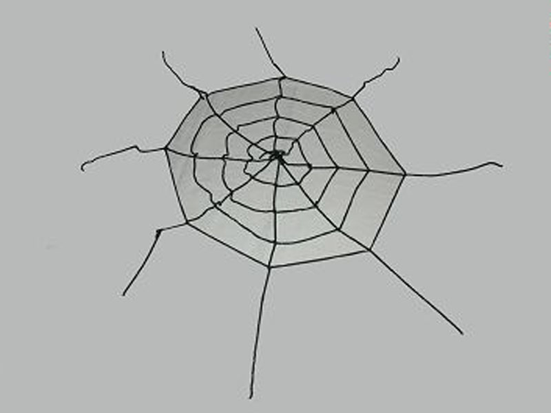 1.5M spider web