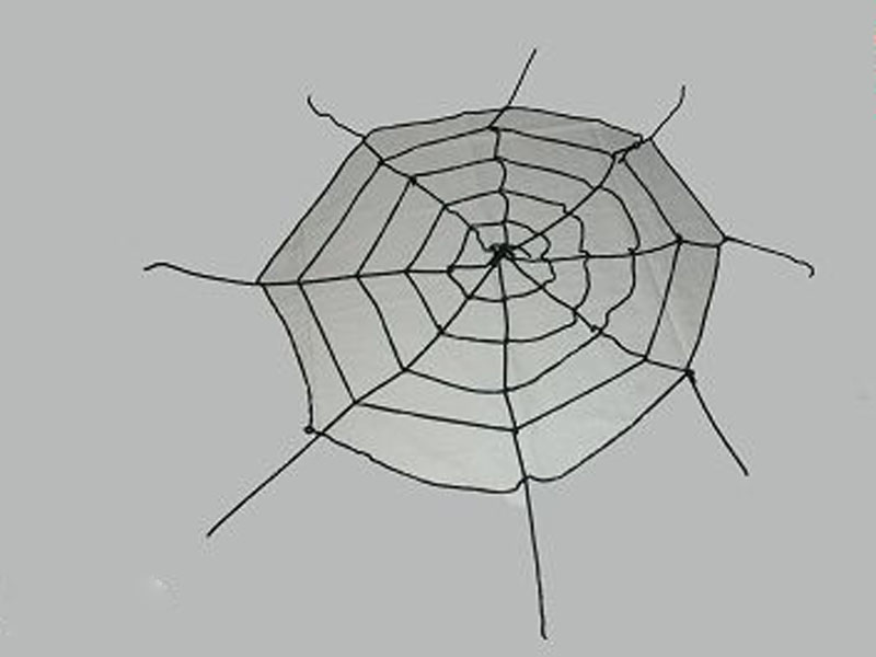 2M spider web