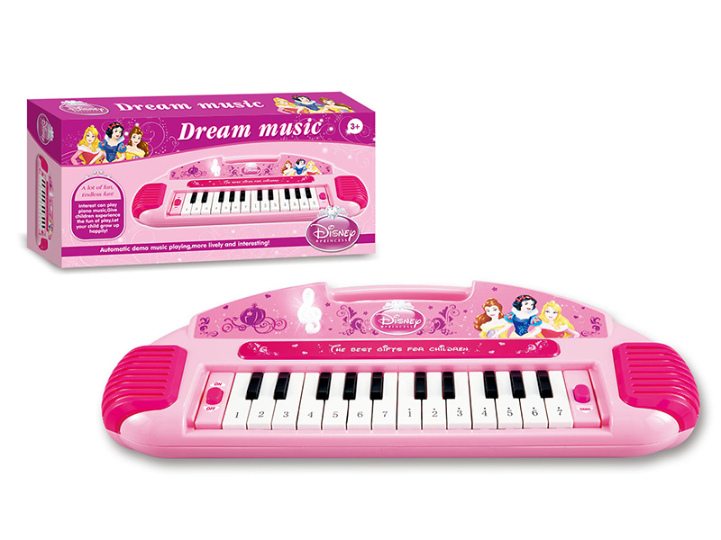 Princess  Electronic Organ