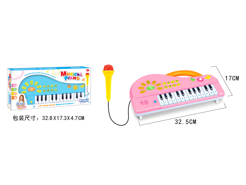 Multifunctional Electronic Organ With Microphone