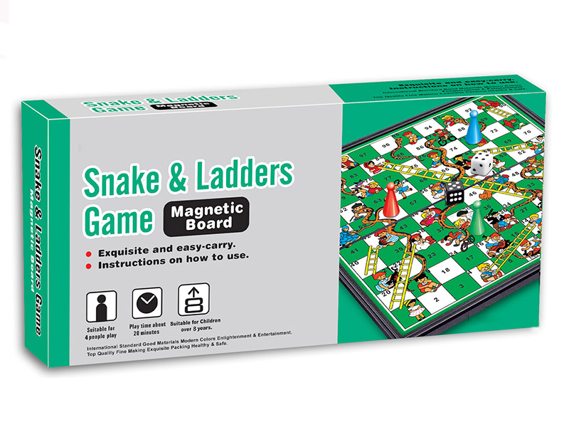 Magnetic Snakes & Ladders