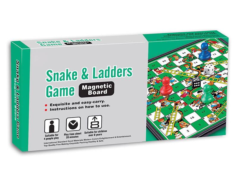Magnetic Snakes & Ladders