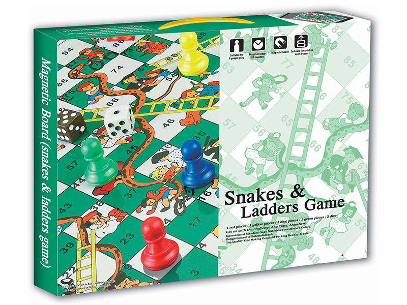 Magnetic Snakes & Ladders