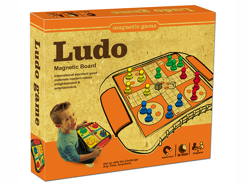 Magnetic Ludo