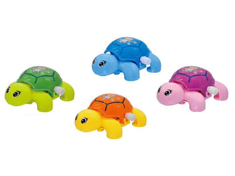 Wind Up Turtle