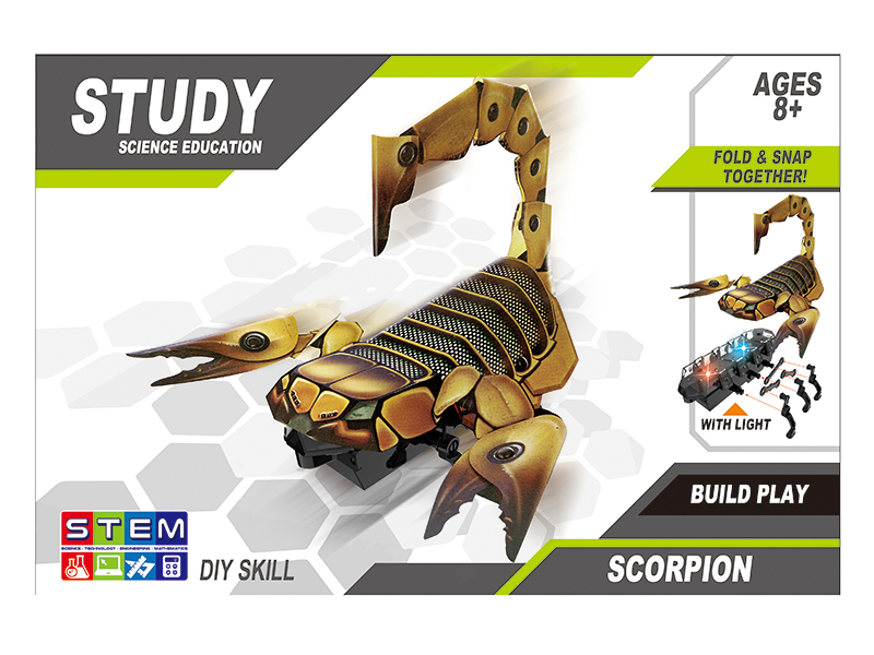 DIY  Crawling Scorpion