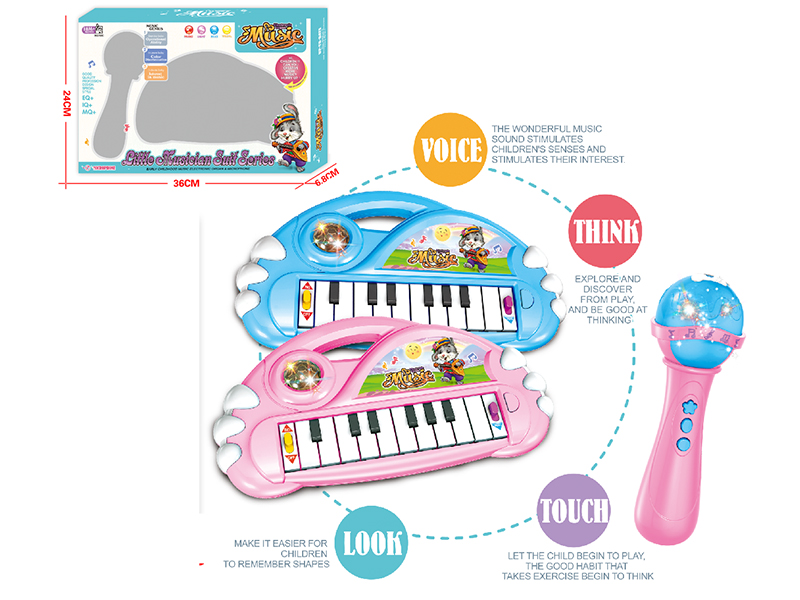 Cartoon Electronic Organ With Light And Music + Microphone Set