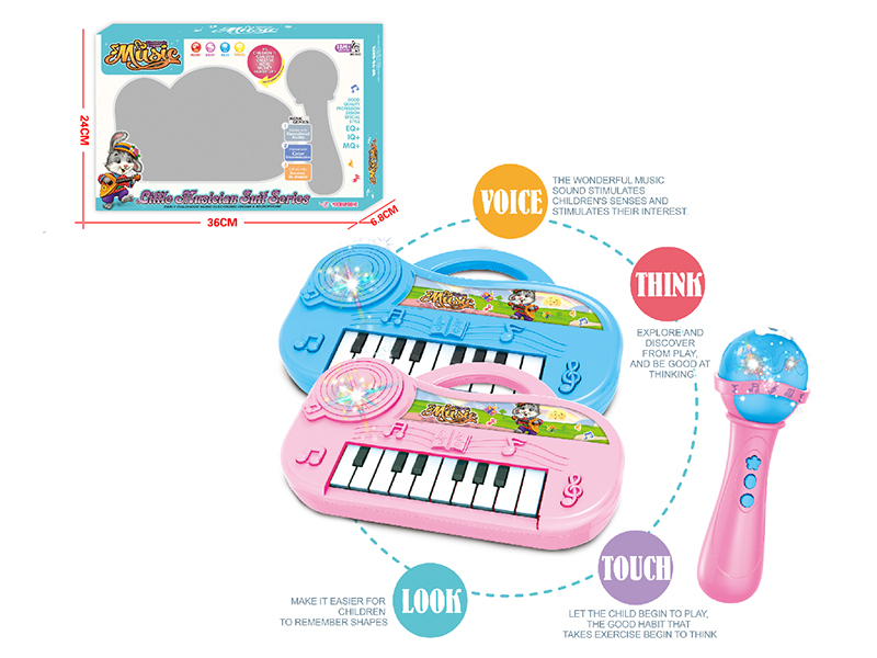 Cartoon Electronic Organ With Light And Music + Microphone Set