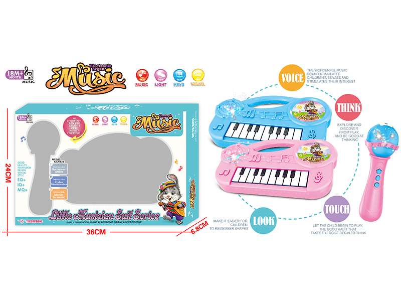 Cartoon Electronic Organ With Light And Music + Microphone Set