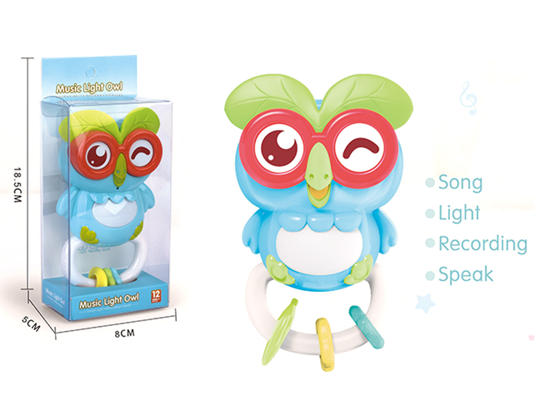 Sound Recording  Owl