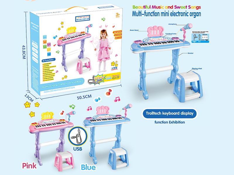 Multi-Function Mini Electronic Organ