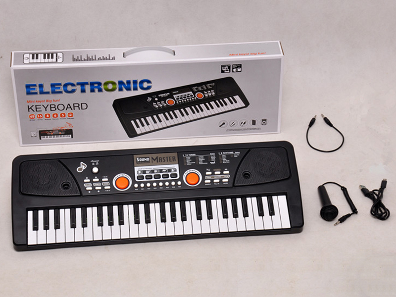 49 Keys Electronic Organ With Microphone/Audio Line /USB Line