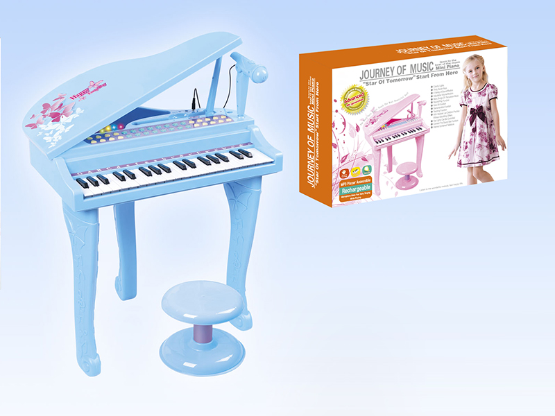 37 Keys Electronic Organ