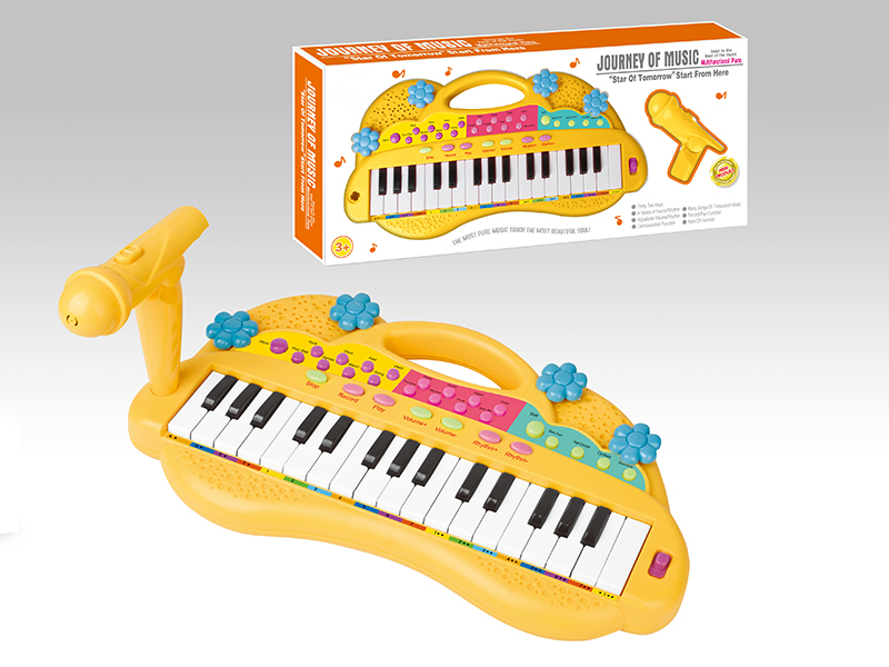 Multifunction Electronic Organ