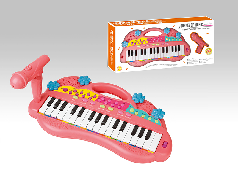 Multifunction Electronic Organ