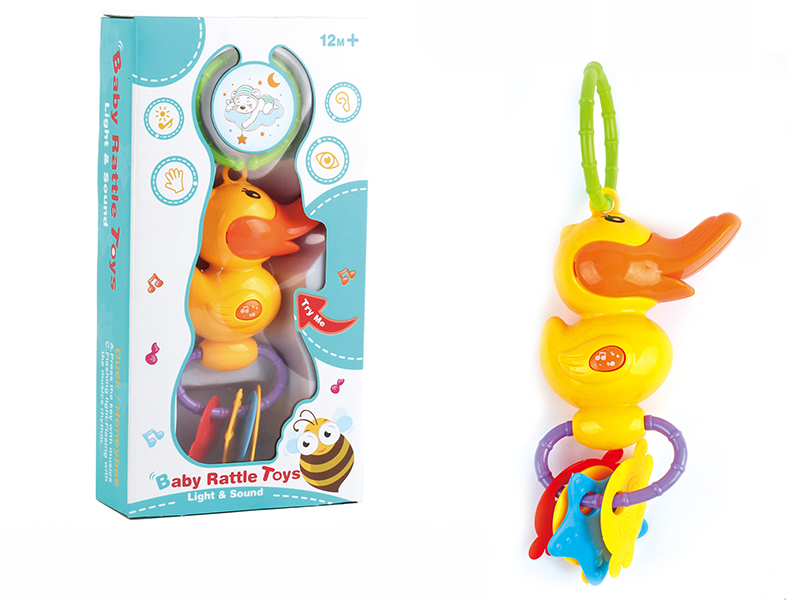 Duck With Light And Sond