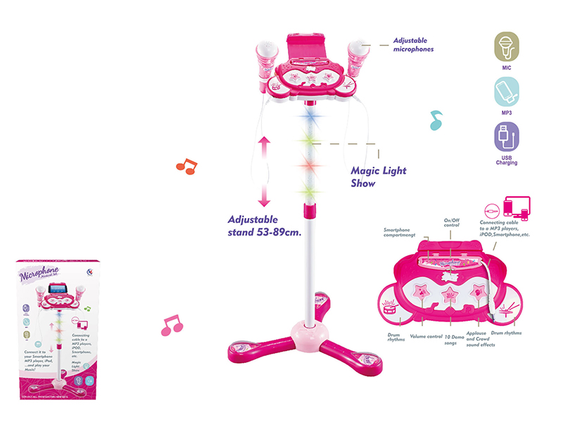 Fashion Vertical Type  Dual Microphone