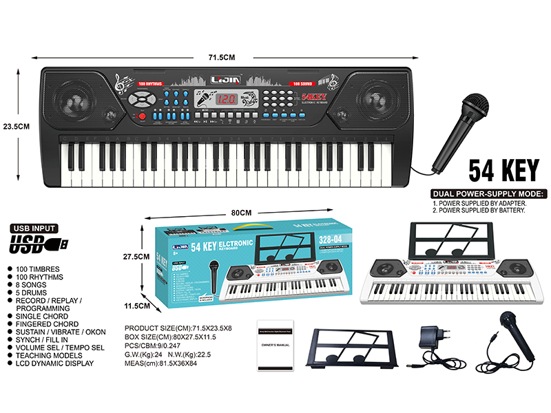 54 Keys  Electronic Organ
