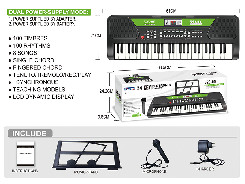 54 Keys  Electronic Organ