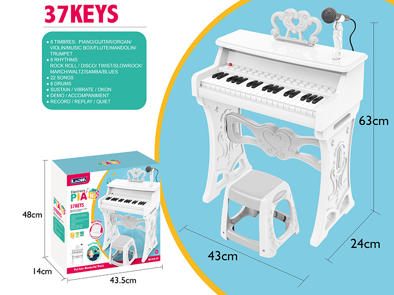 37 Keys  Electronic Organ