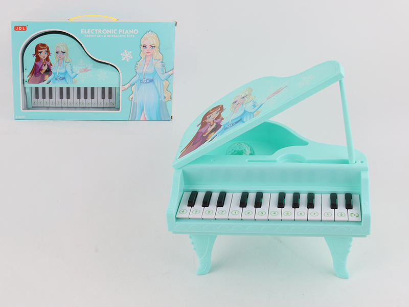 Frozen  Electronic Organ