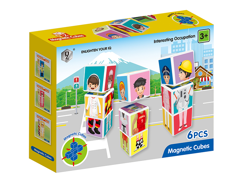 Magnetism Cubes 6pcs