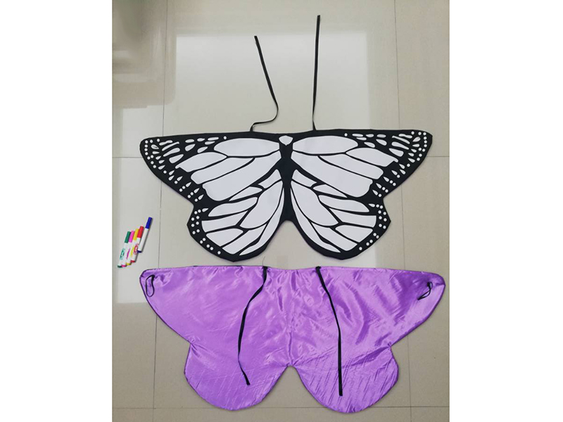 DIY Painting Butterfly Wings