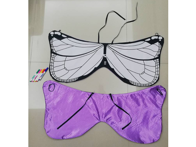 DIY Painting Butterfly Wings