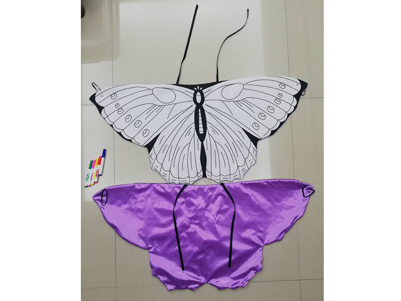 DIY Painting Butterfly Wings