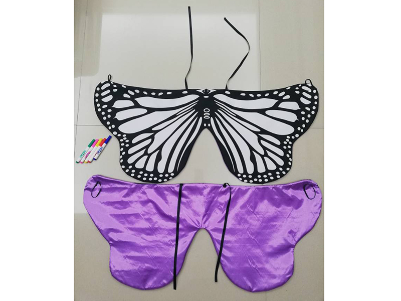 DIY Painting Butterfly Wings