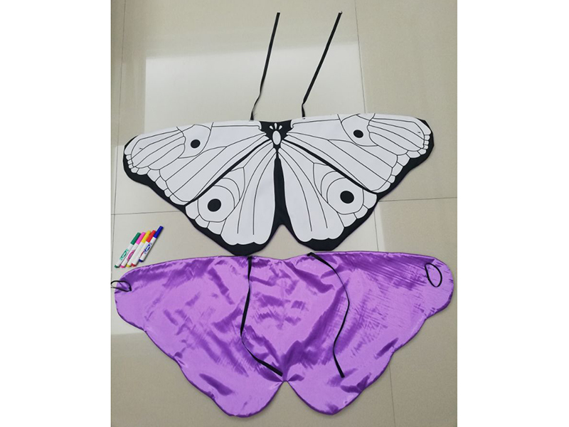 DIY Painting Butterfly Wings
