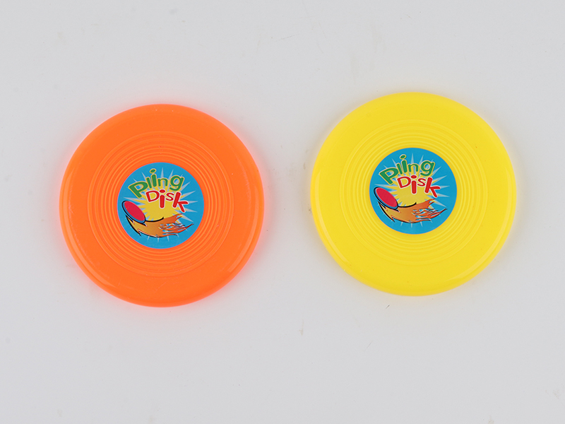 10cm Frisbee 2pcs