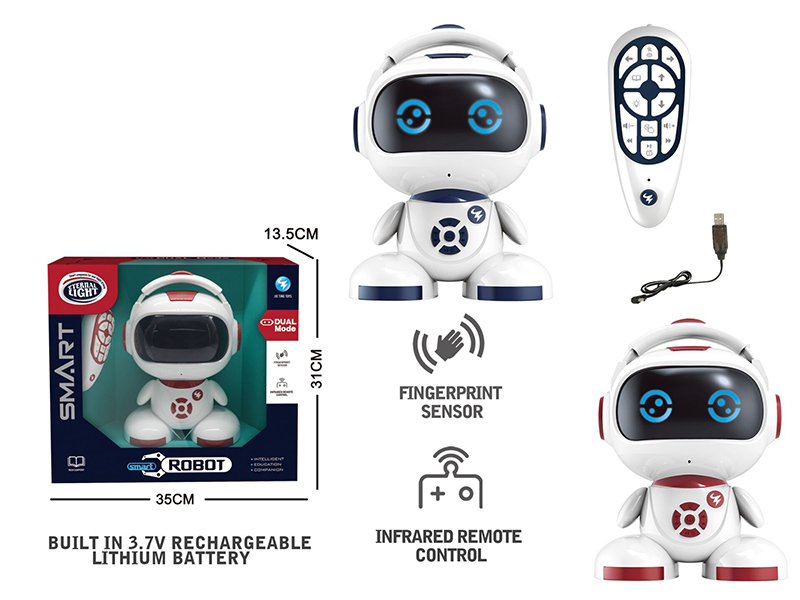 Intelligent R/C Robot