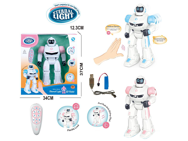 Inteligent Gesture Sensing R/C Robot