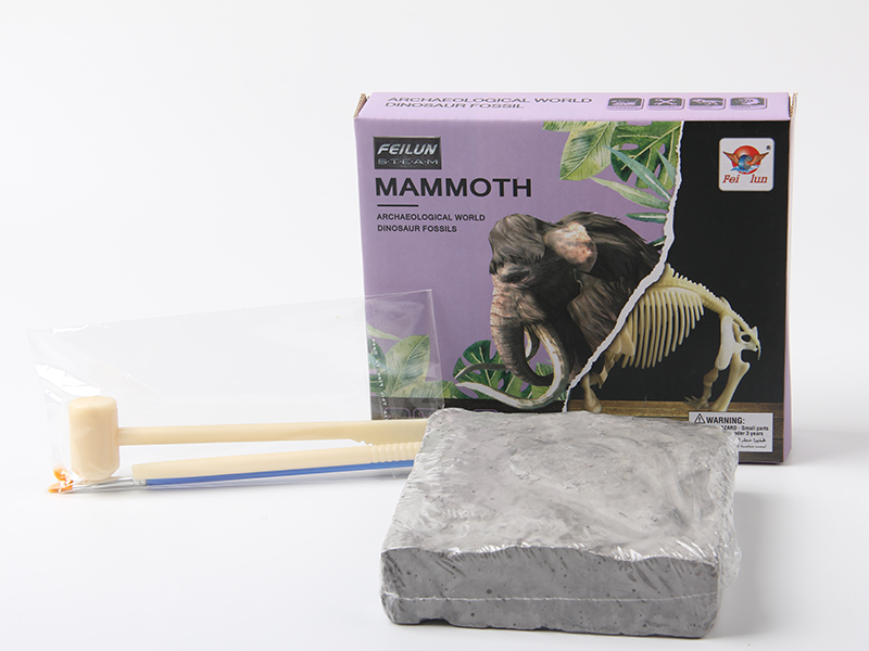 Archaeological Animal Fossil - Mammoth