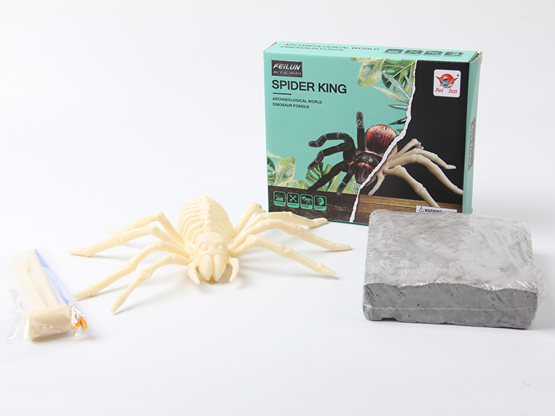 Archaeological Animal Fossil - Spider King