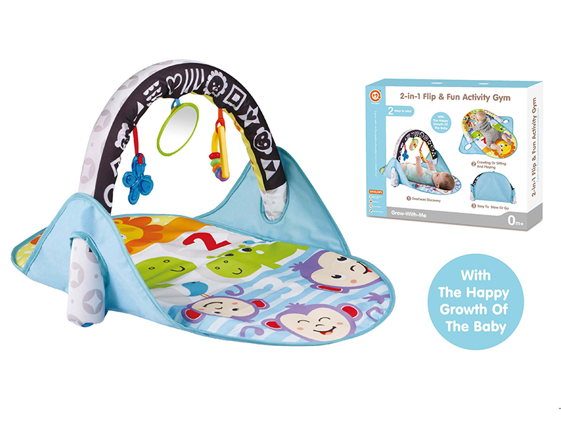 2 In 1  Play Mat