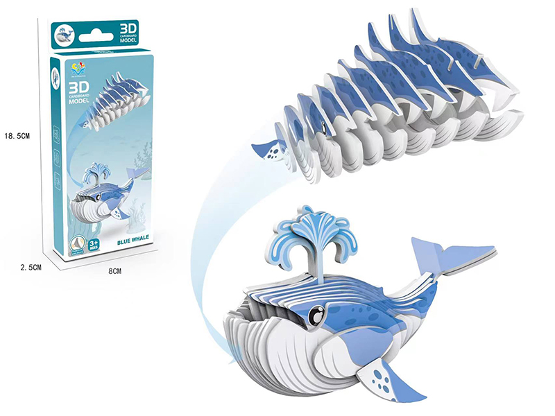 3D Cardboard Model Puzzle -Blue Whale