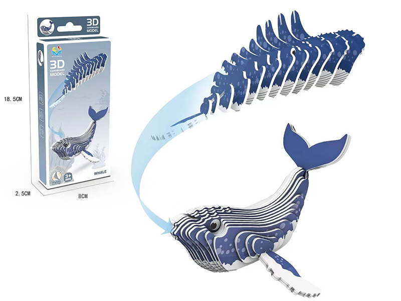 3D Cardboard Model Puzzle -Humpback