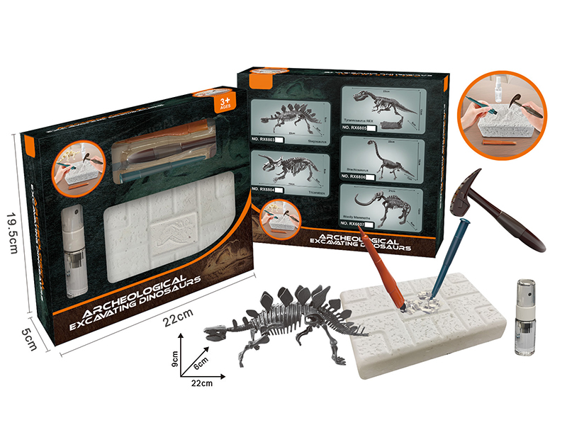 Archaeological Excavation Dinosaur(Stegosaurus )