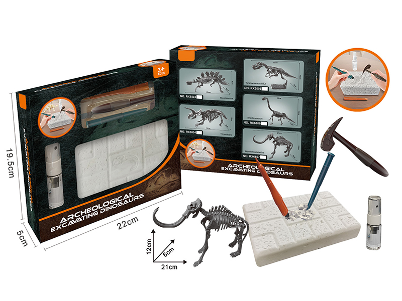 Archaeological Excavation Dinosaur(Mammuthus)