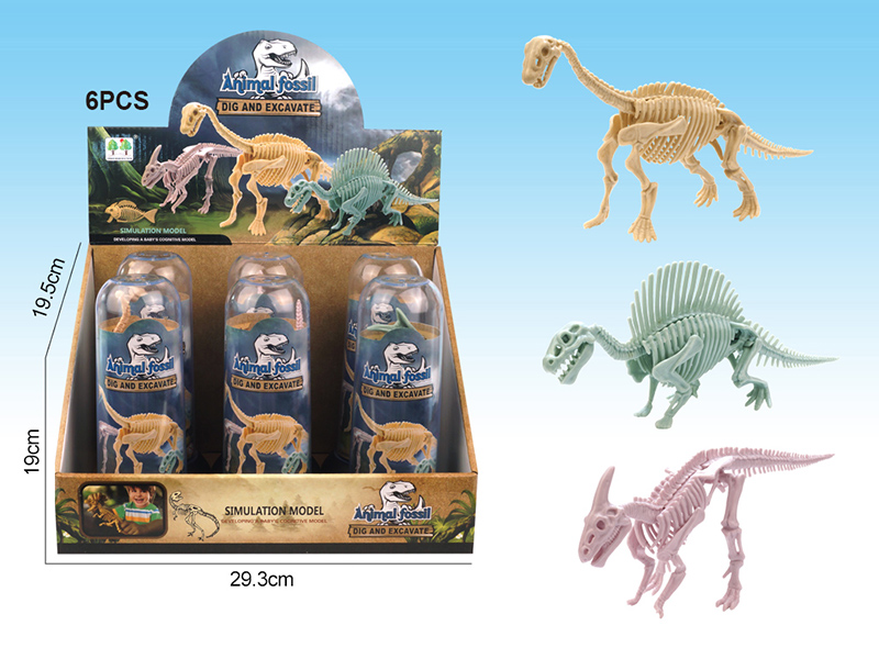 Archaeological Dinosaur Fossils 6PCS
