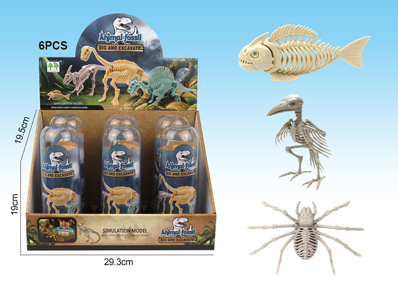 Archaeological Dinosaur Fossils 6PCS