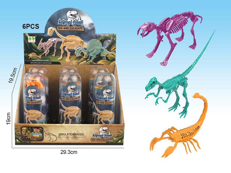 Archaeological Dinosaur Fossils 6PCS