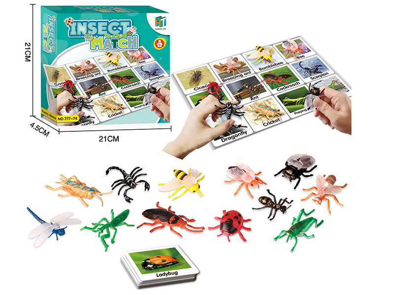 Insect Match Game