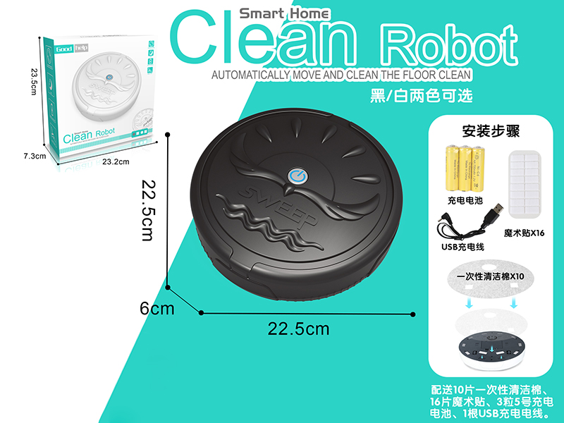 Intelligent Clean Robot